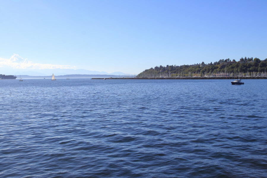 Argosy cruises harbour tour.