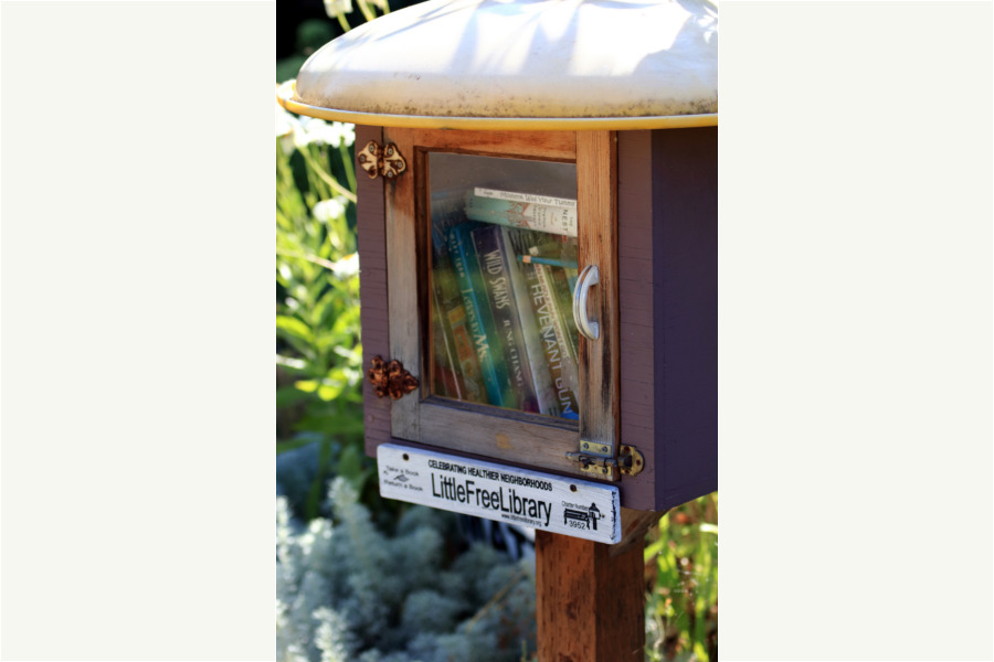 Little Free Library