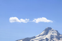 Mt. Hood from Draper Girls Country Farm.