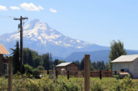 Looming Mt. Hood.