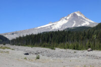 On the way up to Mt. Hood.