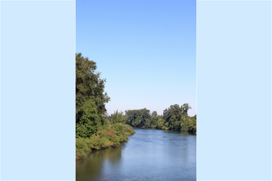 The Willamette river in Eugene