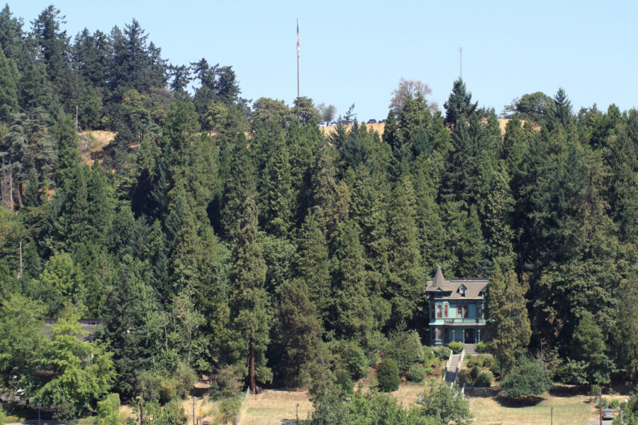 The Shelton-McMurphey-Johnson House