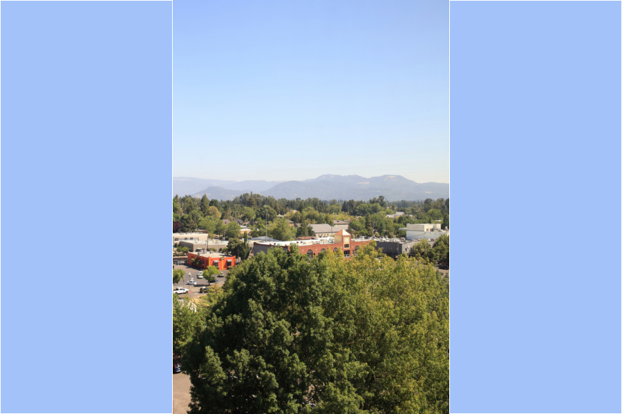 Views north