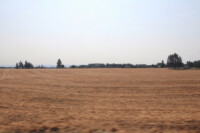 Amtrak Cascades views