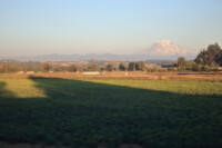 Mt. Rainier.