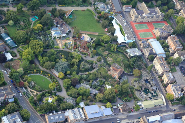 The Zoo