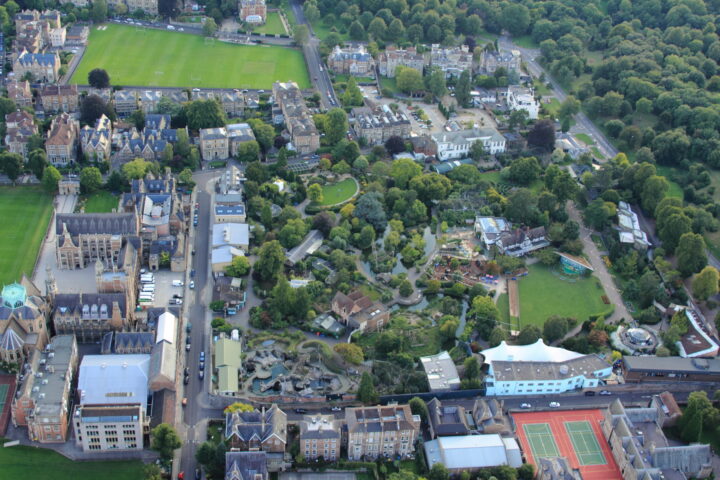 College and Zoo