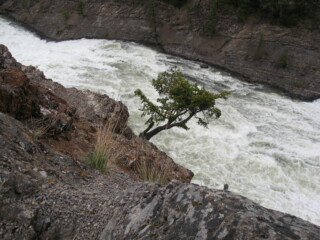 Bow River Falls, Banff
