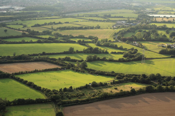 More farmland