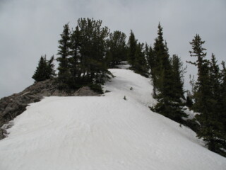 Sulphur Mountain