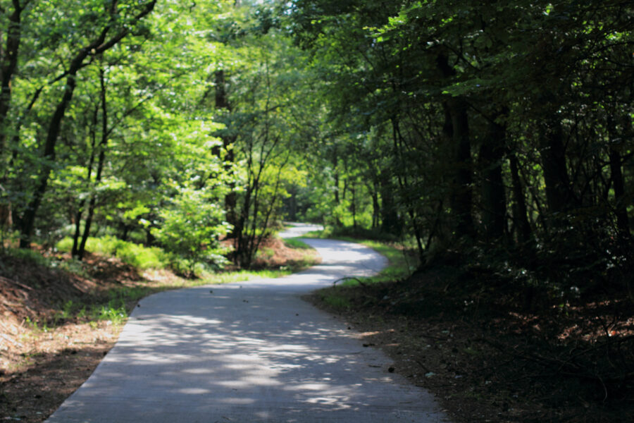 De Hoge Veluwe