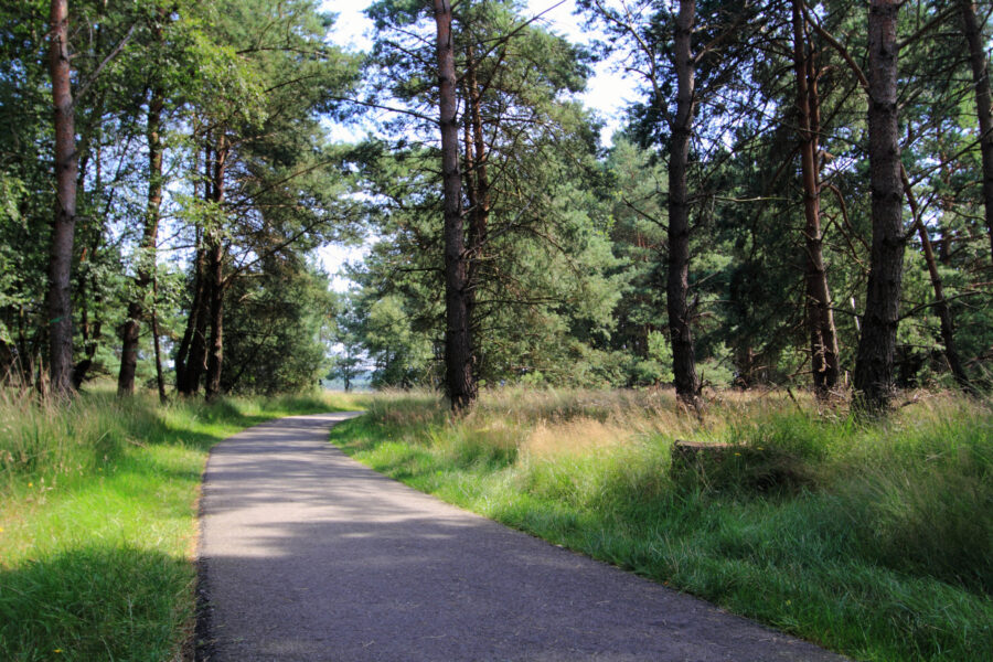 De Hoge Veluwe