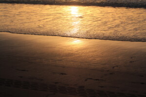 Sunrise and surf