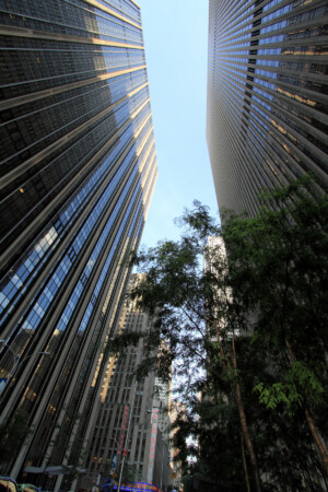 Urban Canyons