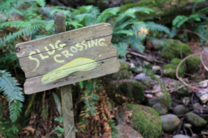 Slug crossing