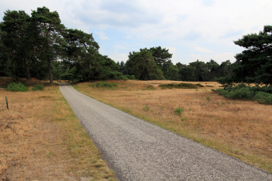 De Hoge Veluwe