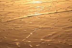 Sunrise and surf