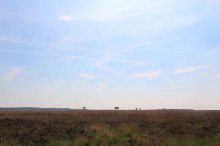 De Hoge Veluwe