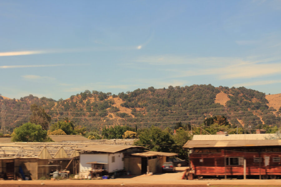 Californian contrasts: from dry...