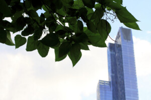 Central Park