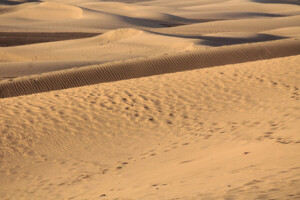 Maspalomas sand dunes