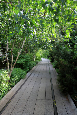 The High Line
