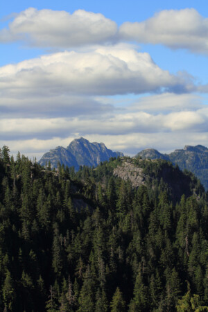 Views north