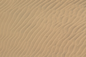 Sand waves