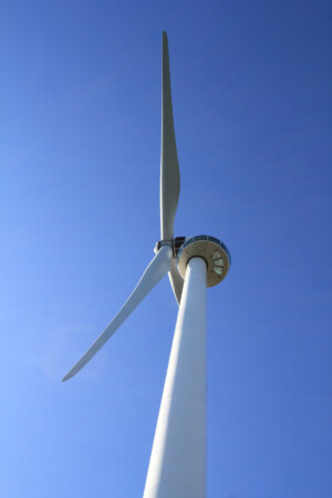 Eye of the Wind