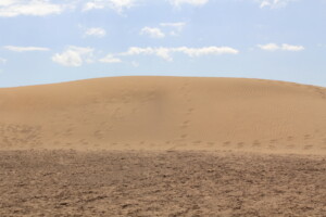 Drought