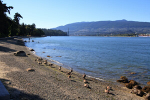Stanley Park
