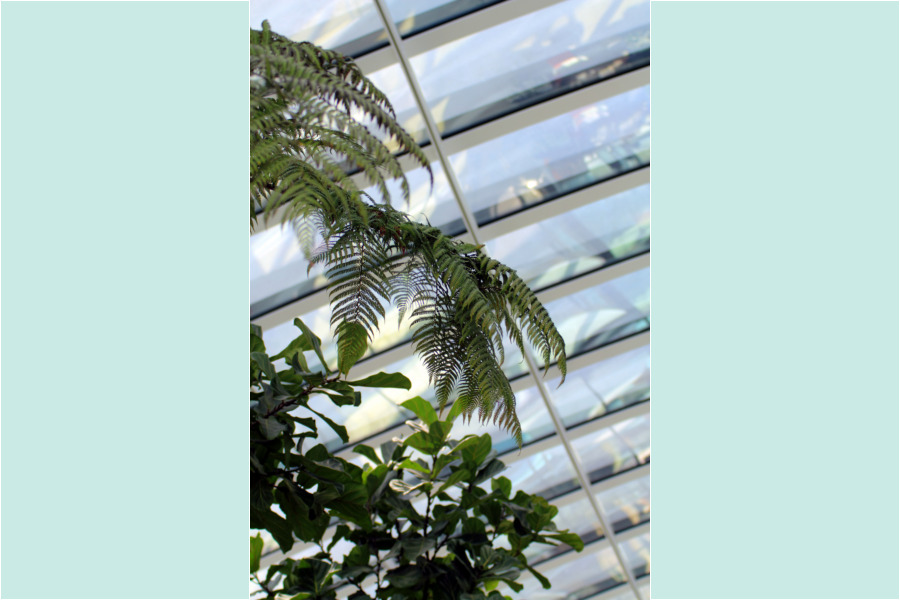 SkyGarden London