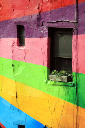 Eduardo Kobra mural at W25th and 10th.