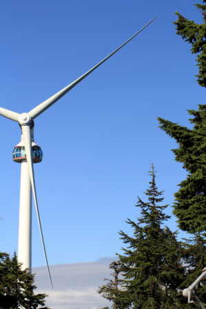 Eye of the Wind
