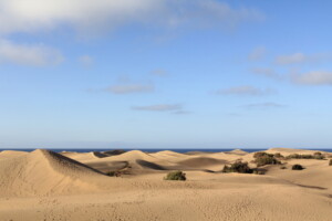 Maspalomas sand dunes