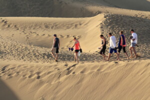 Sand walkers