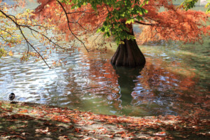 Parque de El Retiro