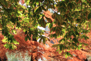 Parque de El Retiro