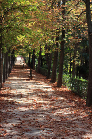 Parque de El Retiro