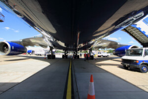 The belly of the beast