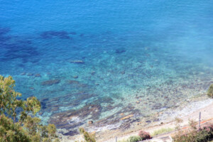 Villagonia
