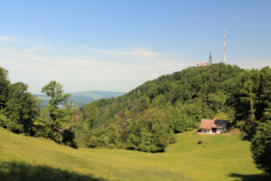 Uetliberg hike