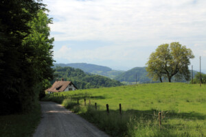 Uetliberg hike