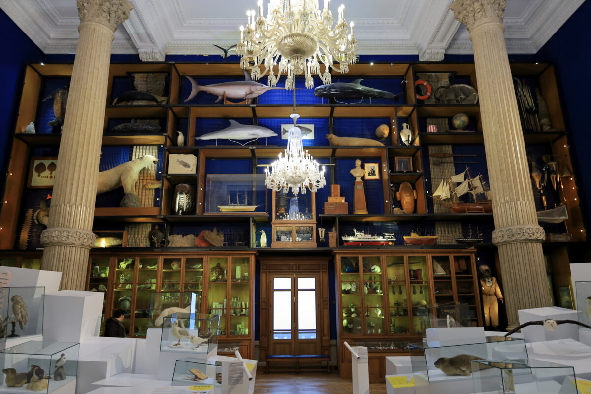 Cabinet of curiosities